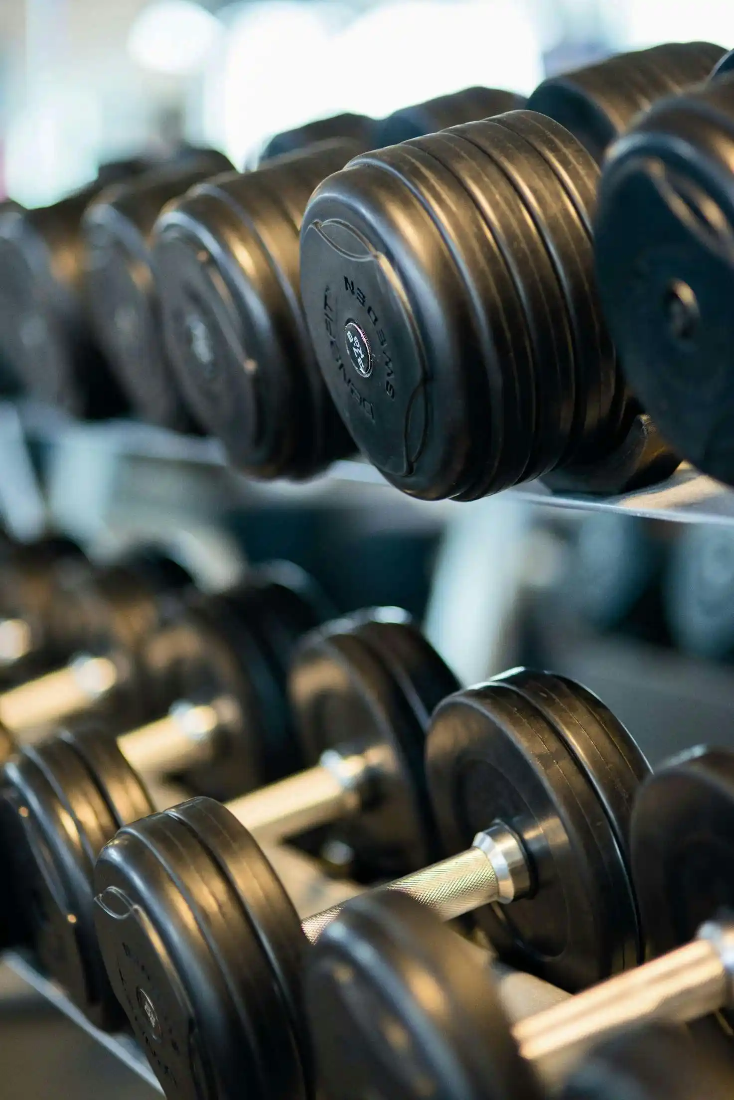 poids sport-edumouv Des haltères alignées dans une salle de musculation.